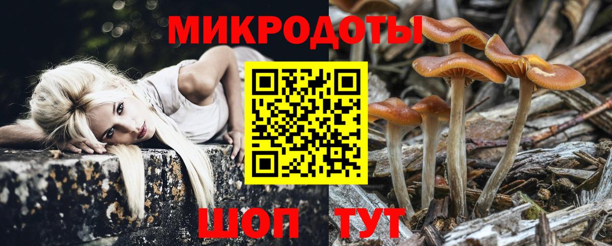 Касимов  Псилоцибиновые грибы MAGIC MUSHROOMS  Псилоцибиновые грибы прущие грибы  Вход с VPN 