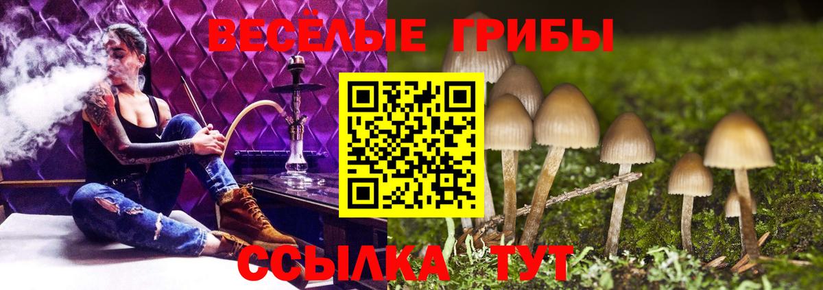 Псилоцибиновые грибы мухоморы Касимов